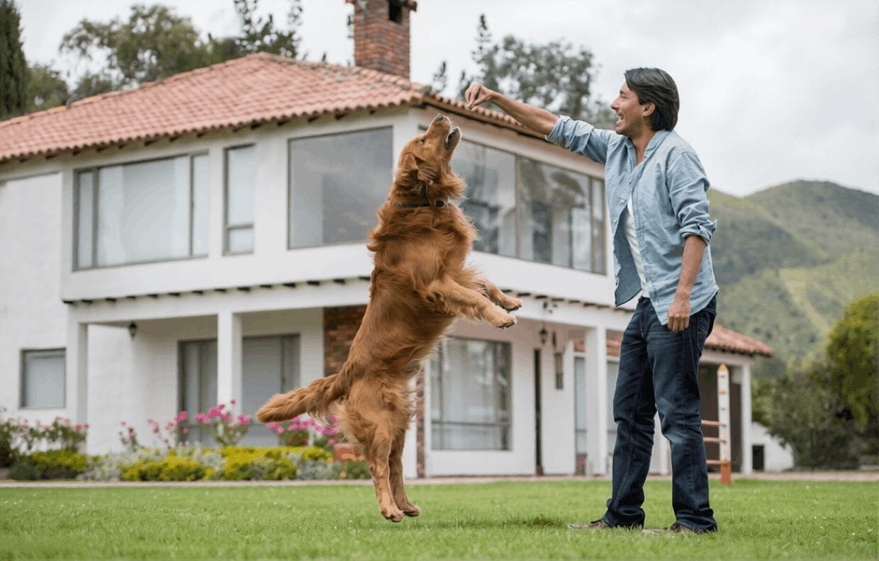 Golden Retriever Training: Complete Puppy-to-Adult Guide (With Timeline)