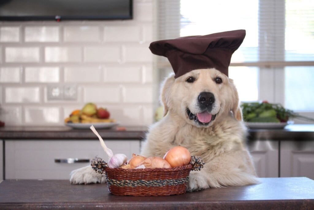 Toxic Foods to Avoid